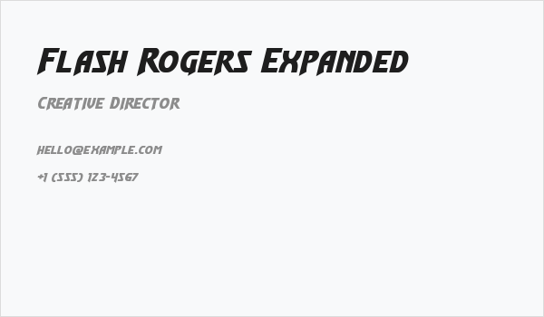 Flash Rogers Expanded Business Card