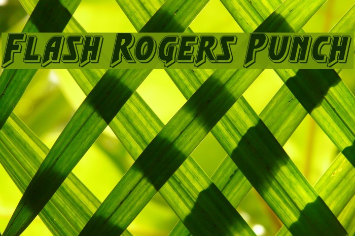 Flash Rogers Punch Font examples