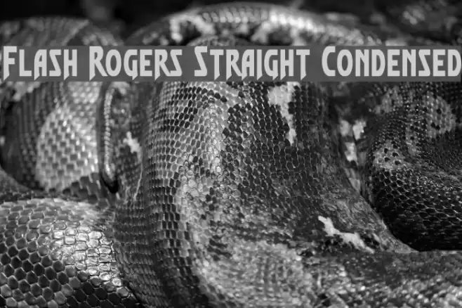 Flash Rogers Straight Condensed Font examples