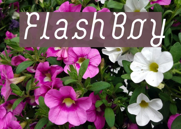 FlashBoy Fuentes examples
