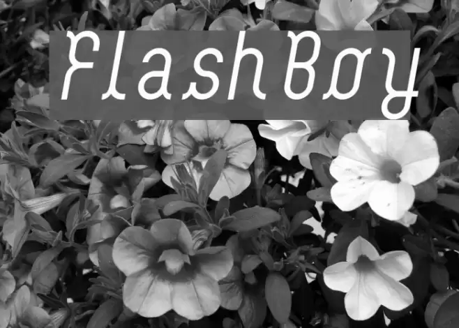 FlashBoy Font examples