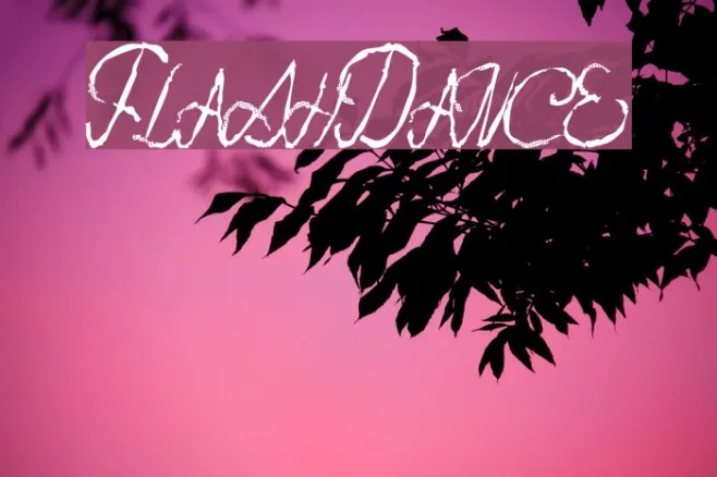 FlashDance Example 2