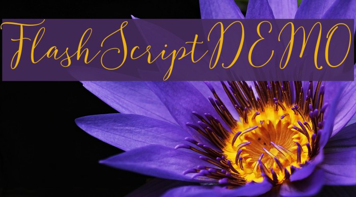 FlashScriptDEMO Font examples