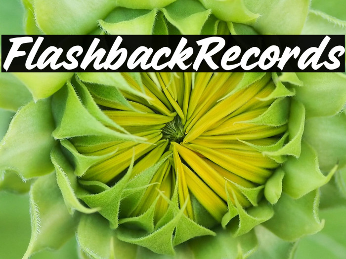 Flashback Records Example 3