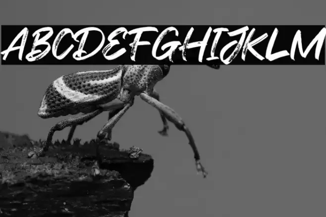 Flashing Font examples