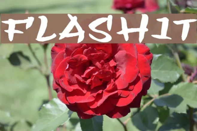 Flashit Example 3