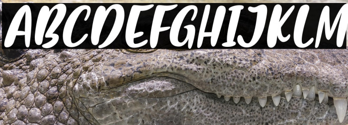 FlashonSaturdayNight-Italic Example 2