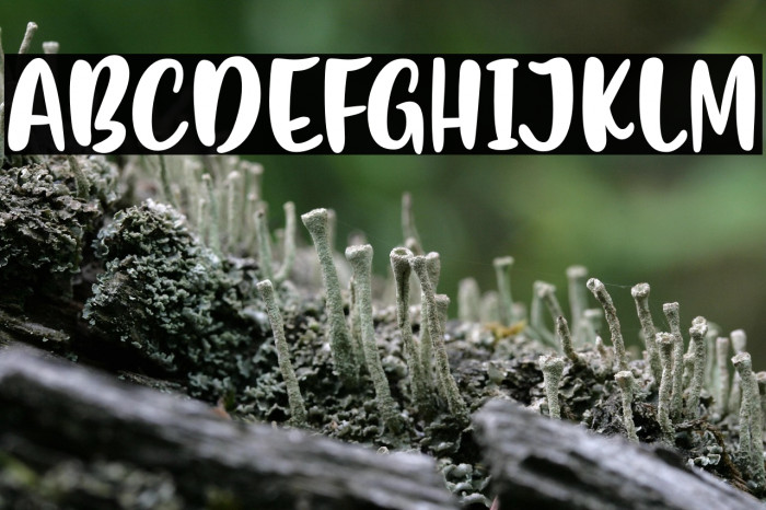 FlashonSaturdayNight Example 2