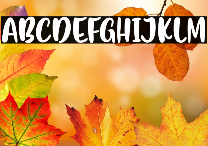 FlashonSaturdayNight Example 3