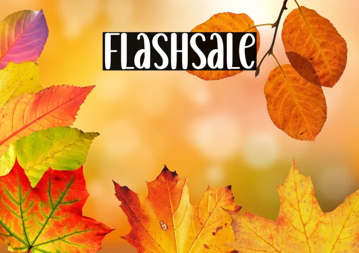 Flashsale Example 1
