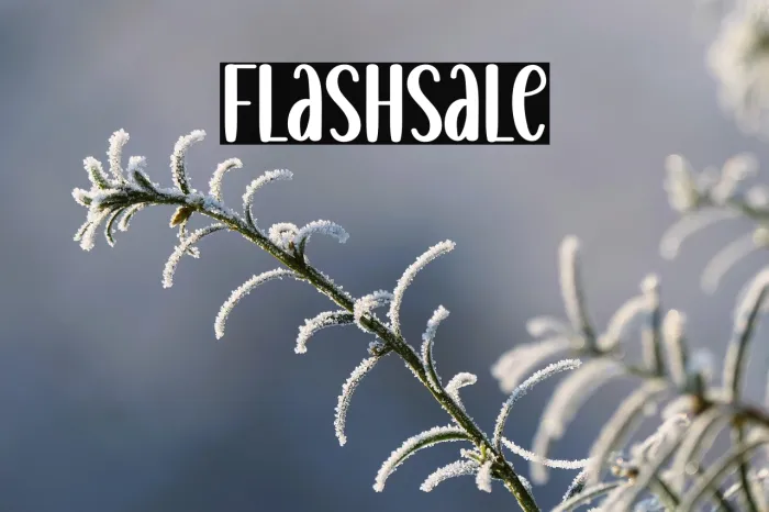 Flashsale Example 3