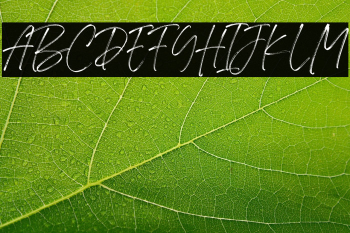 Flassty Demo Example 1