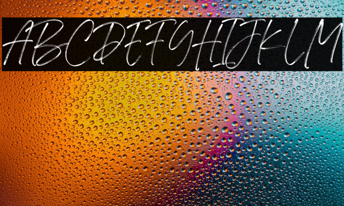 Flassty Demo Example 2