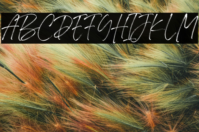 Flassty Demo Example 3