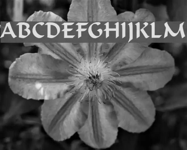 Flat Brush Normal Font examples