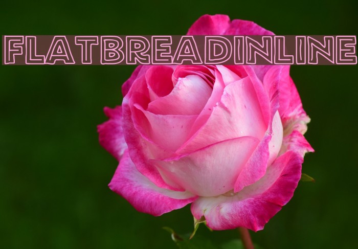 FlatBreadInline Font examples