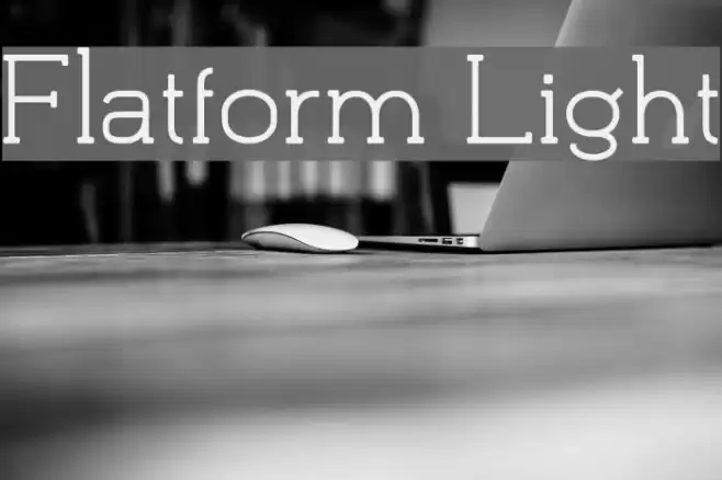 Flatform Light Font examples
