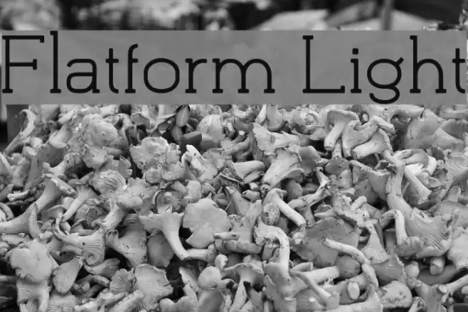 Flatform Light Font examples