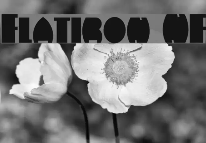 Flatiron NF Font examples
