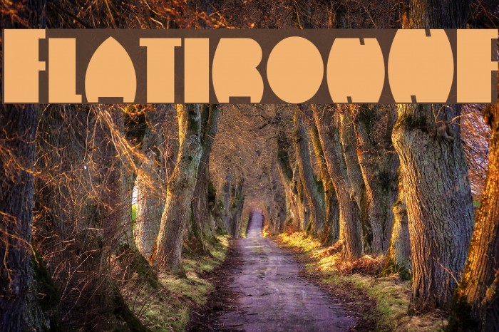 FlatironNF Font examples