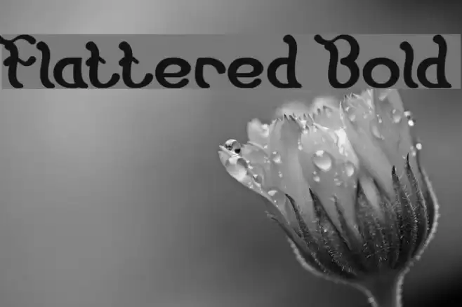 Flattered Bold Font examples