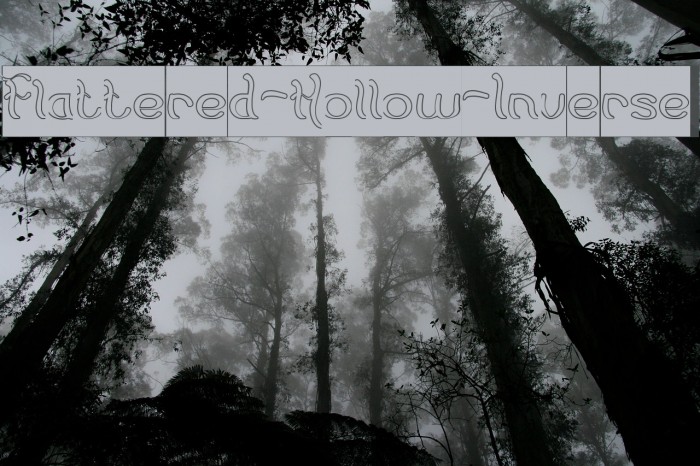Flattered-Hollow-Inverse Font examples