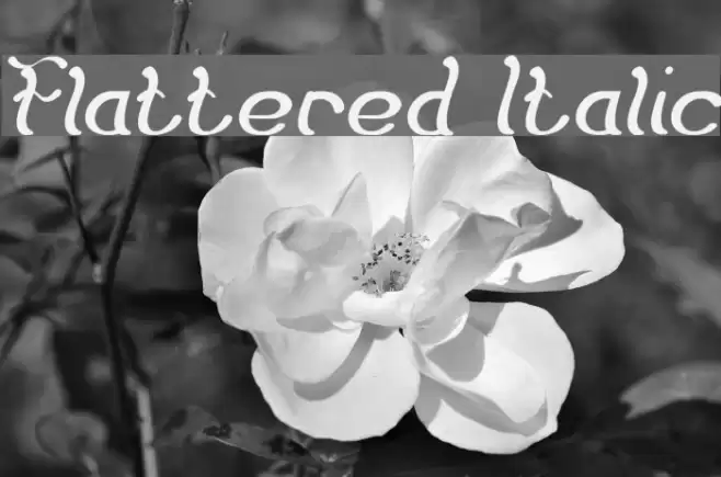 Flattered Italic Font examples