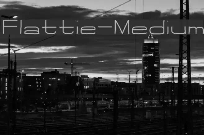 Flattie-Medium Font examples