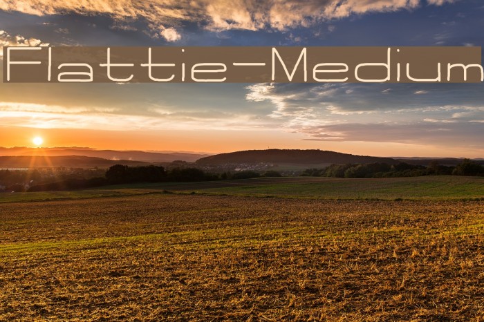 Flattie-Medium Example 3