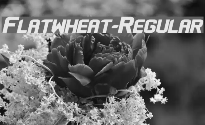 Flatwheat-Regular Font examples