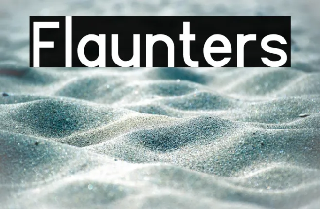 Flaunters Example 2