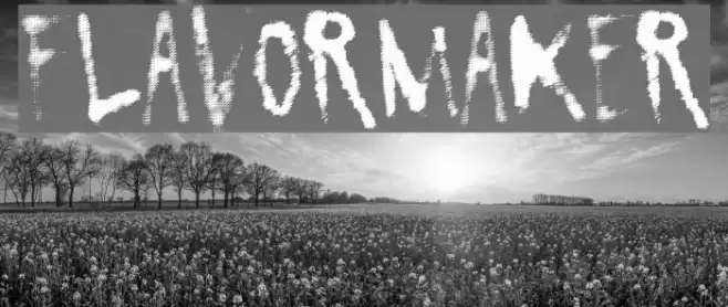 FlavorMaker Font examples