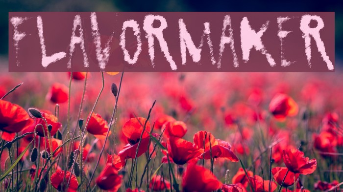 FlavorMaker Font examples