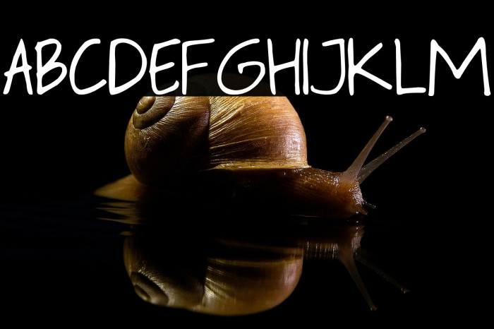 Flavors Heart Example 3