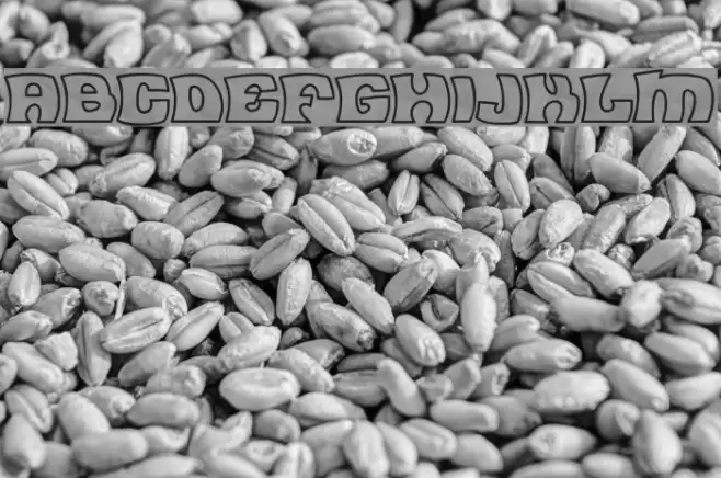 Flea Market Outline Font examples