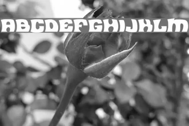 Flea Market Plain Font examples