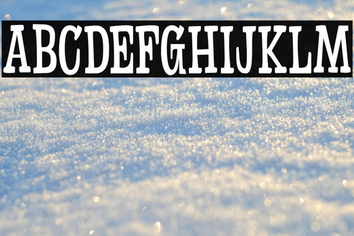 Fleabitten DEMO Regular Example 2