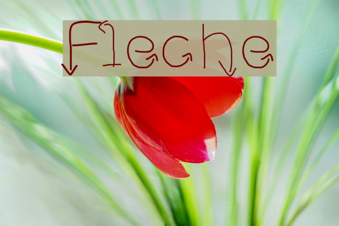 Fleche Font examples