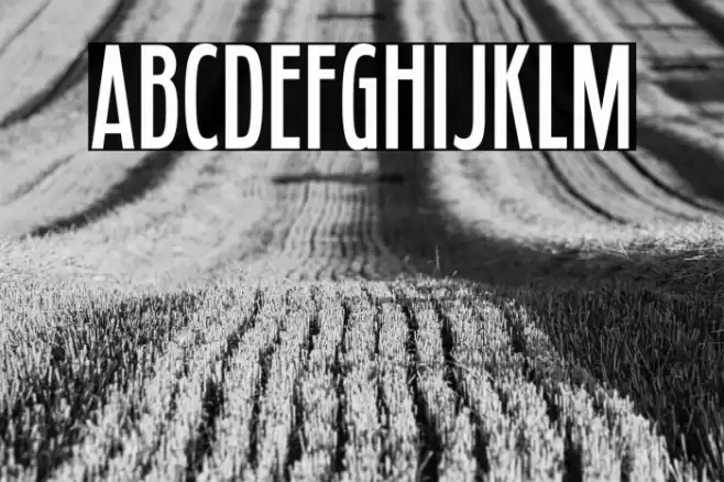 FledglingSb-Regular Font examples