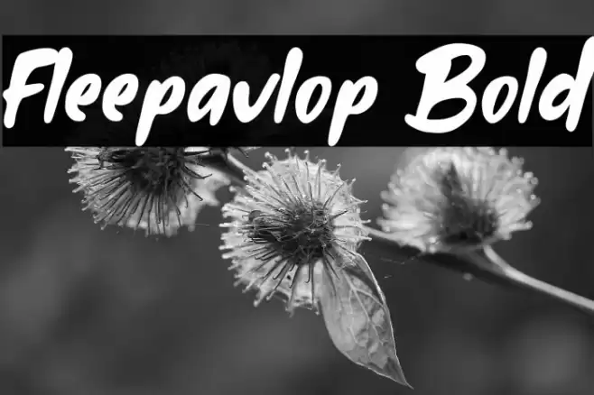 Fleepavlop Bold Font examples
