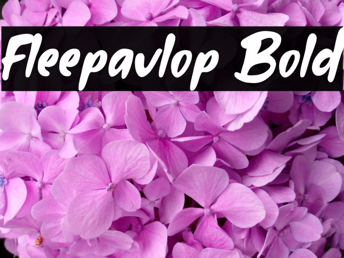 Fleepavlop Bold Example 2