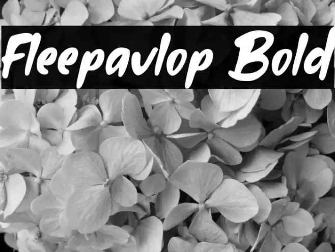 Fleepavlop Bold Font examples