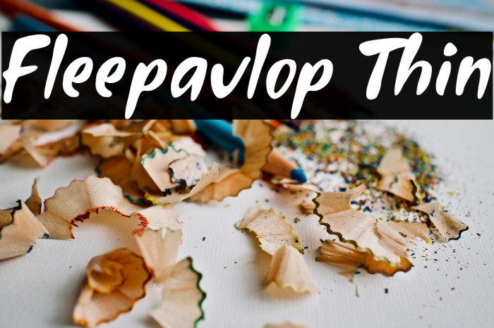 Fleepavlop Thin Example 2