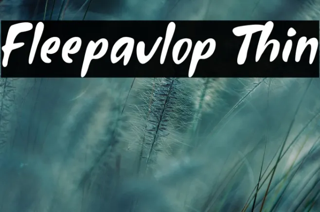 Fleepavlop Thin Example 3