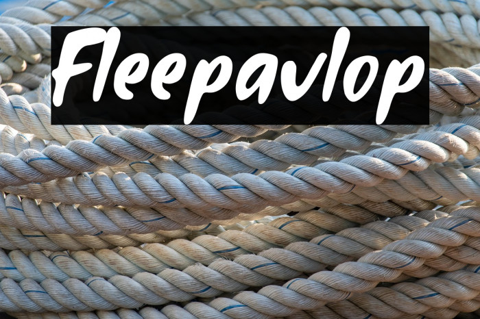 Fleepavlop Example 2