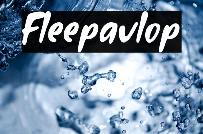 Fleepavlop Example 3