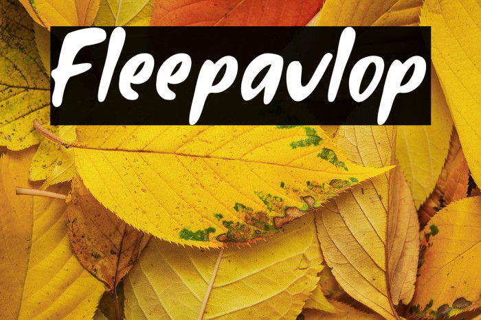 Fleepavlop Example 2