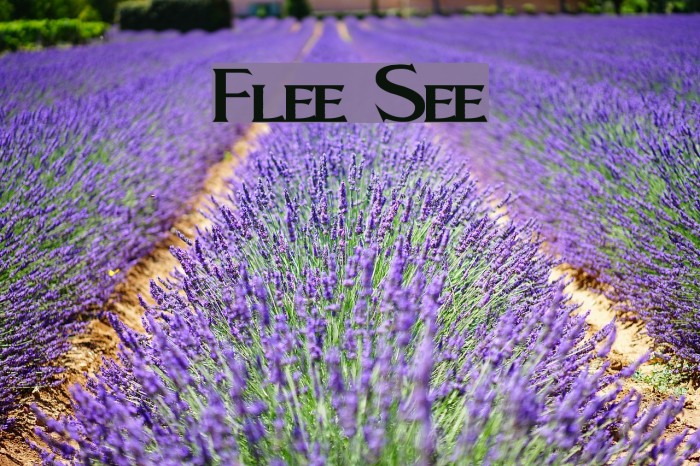 Fleet Street Font examples