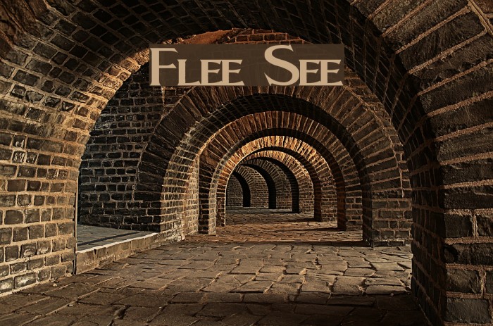 Fleet Street Font examples
