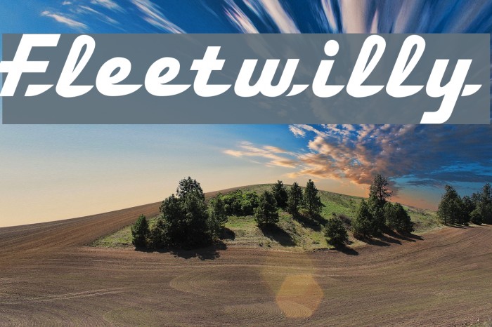 Fleetwilly Font examples